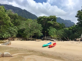 Dave Reviews the Permai Rainforest