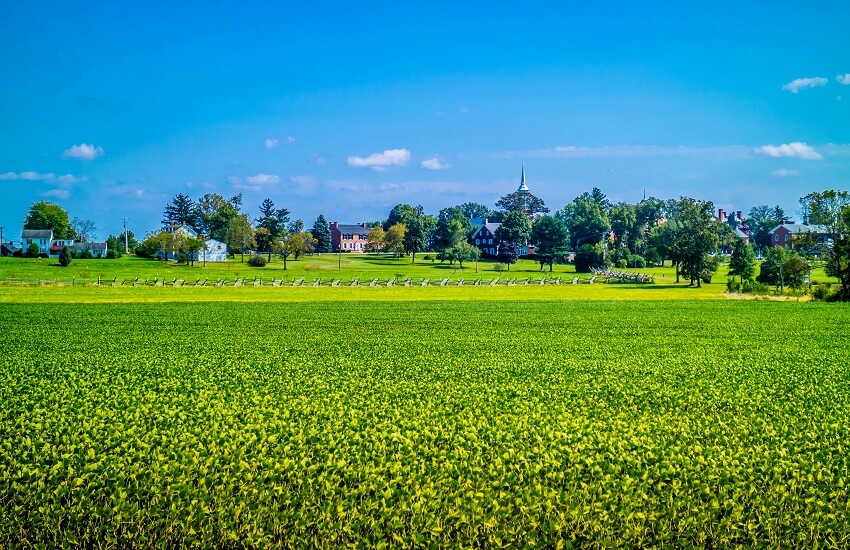 Vineyards of NE USA Road Trip