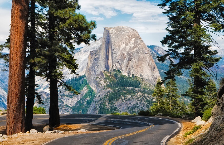 Ancient Forests of California