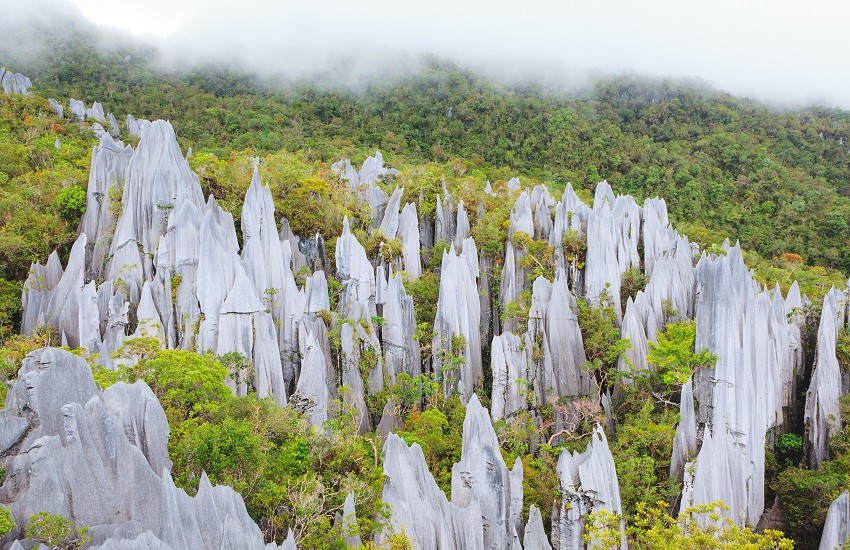 Limestone pinnacles in Gunung Mulu National Park, rising beneath a misty sky in Borneo.