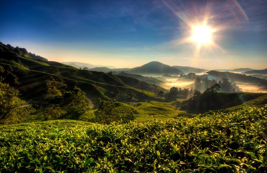 Cameron Highlands landscape with bright sunshine overhead and mist settling across the distant green hills.