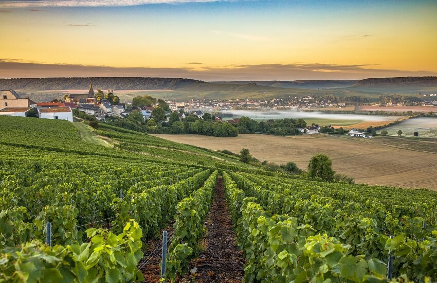 Food & Wines of France