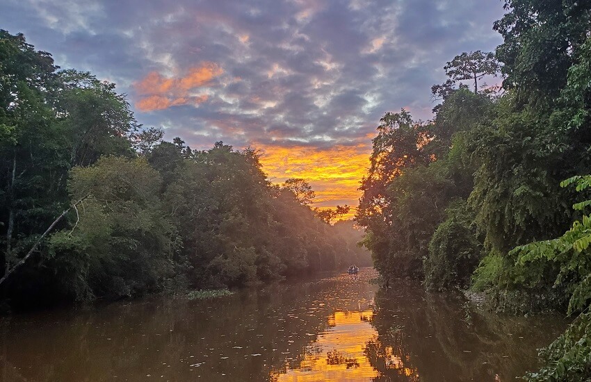 Best Things to do in Borneo