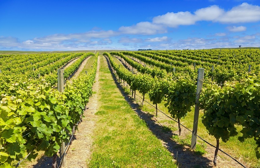 Complete New Zealand Self-Drive