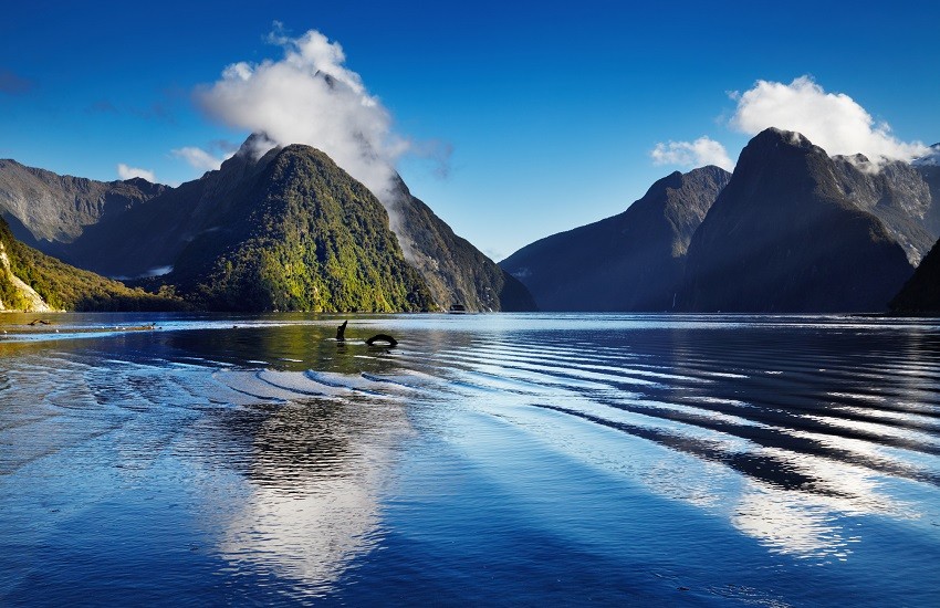 Milford Sound in New Zealand with Mitre Peak rising above the fjord in Fiordland National Park