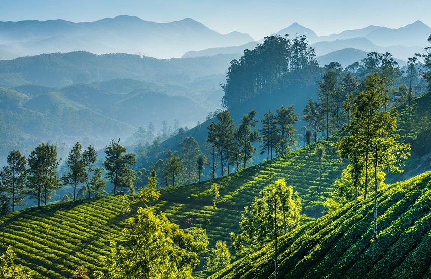 South India Coast to Coast Tour