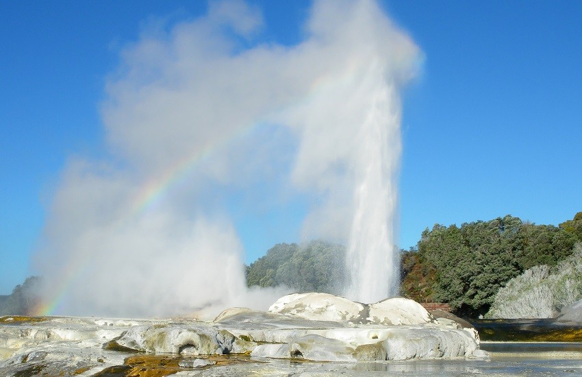 Pohutu Geyser erupting with a rainbow above at Te Puia in Rotorua, New Zealand
