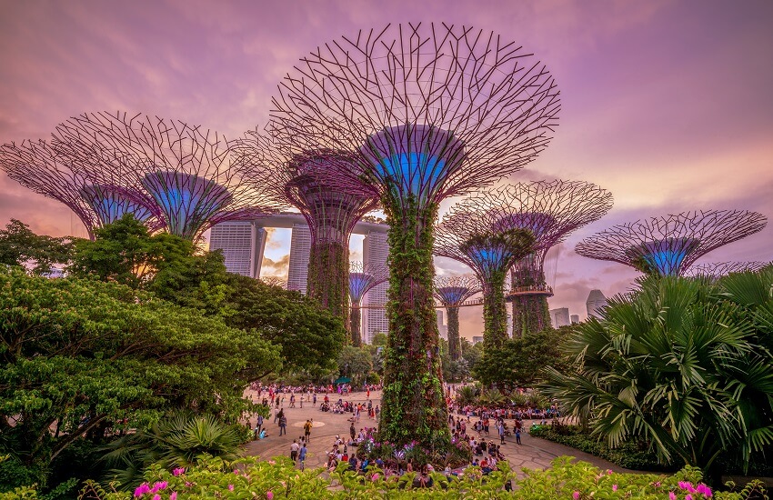 Gardens by the Bay in Singapore, with futuristic Supertree structures beneath a glowing purple evening sky.