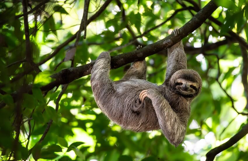 Top 10 Costa Rican Highlights