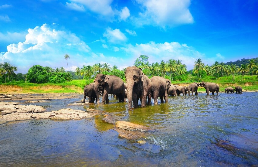 The Best of Sri Lanka