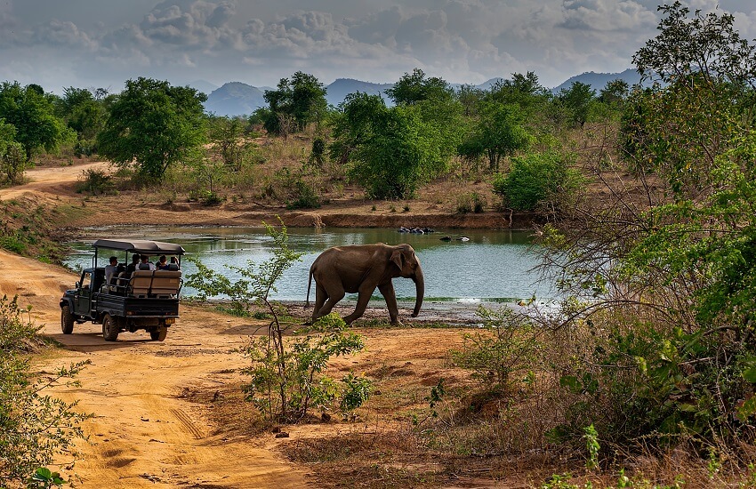 The Best of Sri Lanka