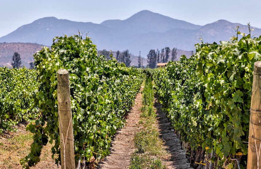 The Best of Peru & Chile