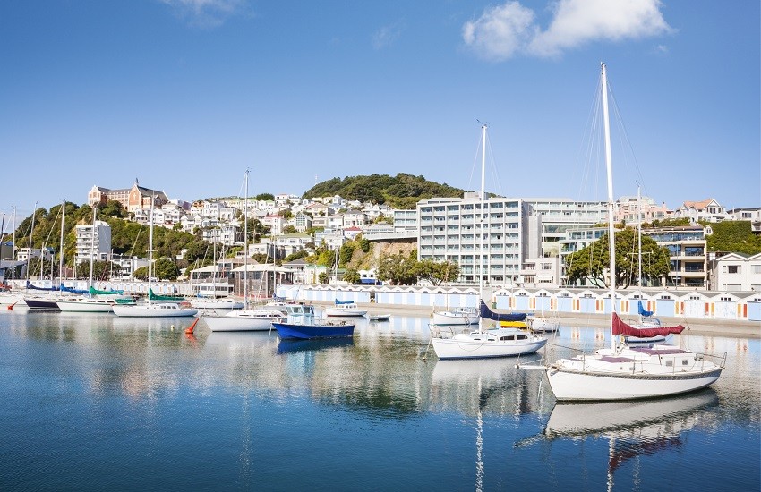 Wellington Harbour with yachts moored on the water and city buildings rolling down the hills to the waterfront