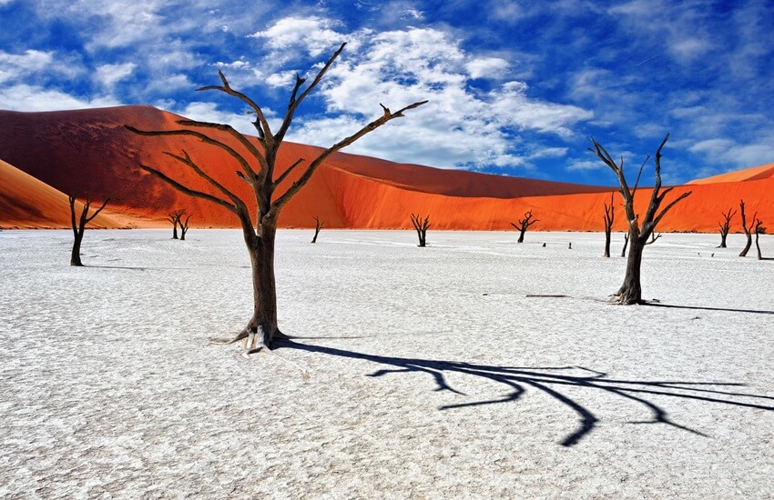 Sossusvlei in Namibia with towering red dunes under a blue sky with scattered clouds, contrasted by a white clay pan and a few barren trees.